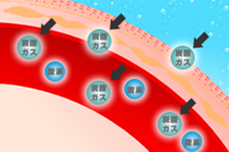 炭酸泉：炭酸ガスが毛細血管に入ります