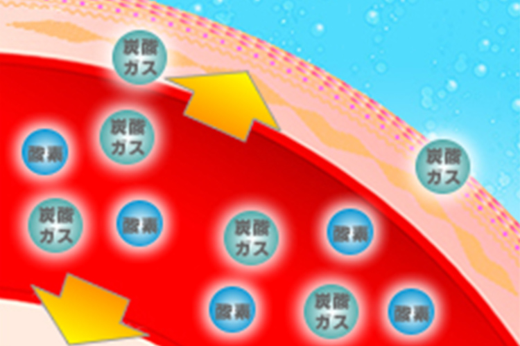 炭酸泉：侵入した炭酸ガスを洗い流すため血管が広がり酸素を多く取り込みます